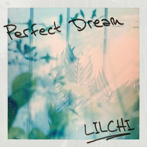 Perfect Dream