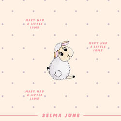 Mary had a litte lamb