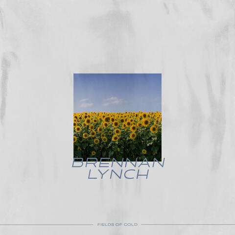 Fields Of Gold