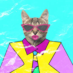 It's raining cats