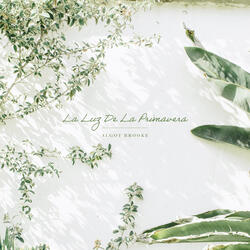 La Luz De La Primavera