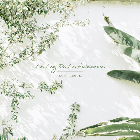 La Luz De La Primavera