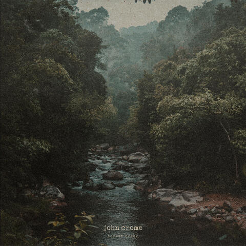 Forest Creek