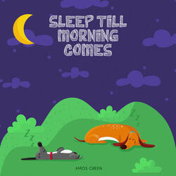 Sleep Till Morning Comes