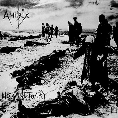 No Sanctuary - The Spiderleg Recordings
