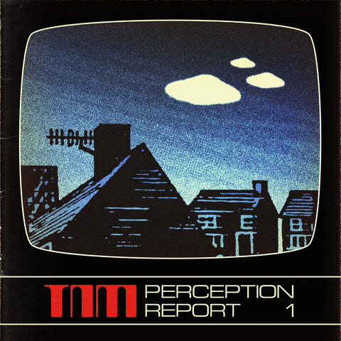 Perception Report 1