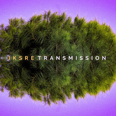 Transmission