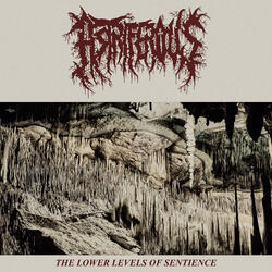 Myriad Of Grotesquerie