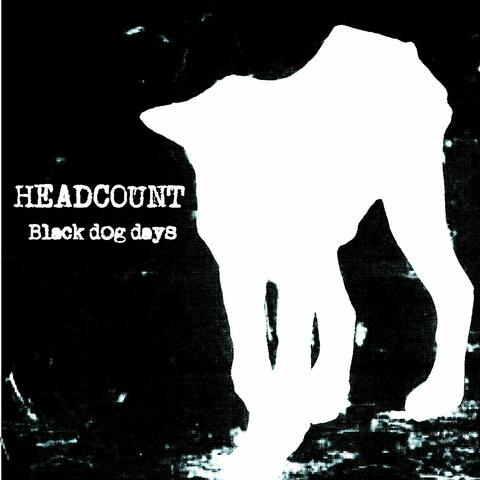 Black Dog Days
