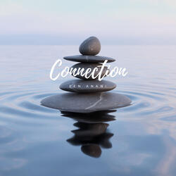Connection