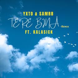Tere Bina (Remix)