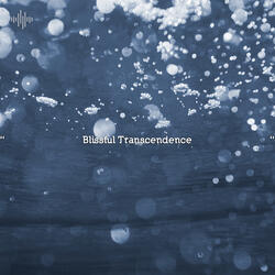 Rock Wall Ocean Sounds