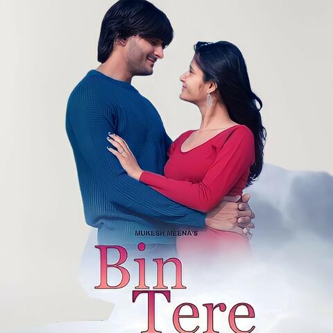 Bin Tere