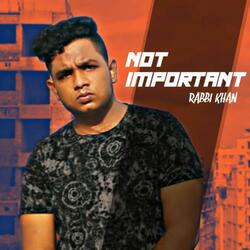 Not Important