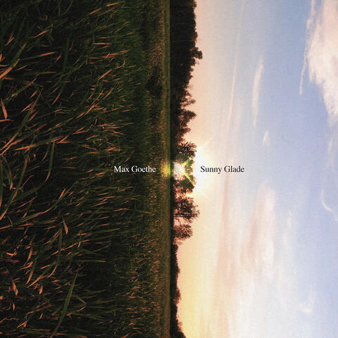 Sunny Glade