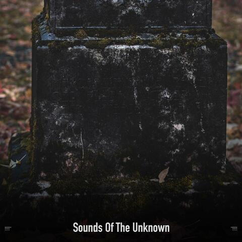 !!!!" Sounds Of The Unknown "!!!!