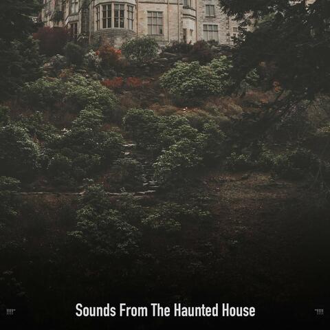 !!!!" Sounds From The Haunted House "!!!!