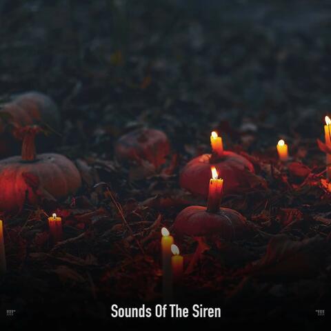 !!!!" Sounds Of The Siren "!!!!