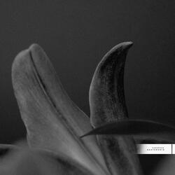 Agatemonia