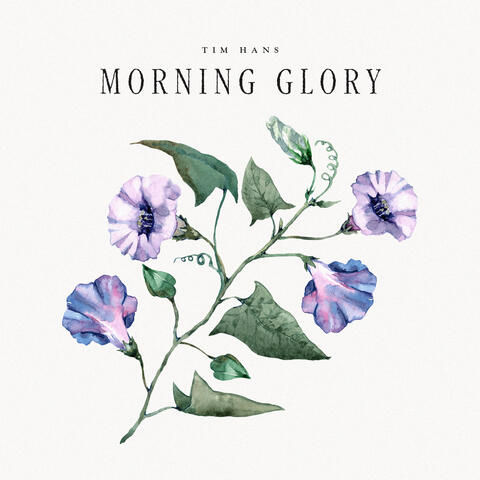 Morning Glory