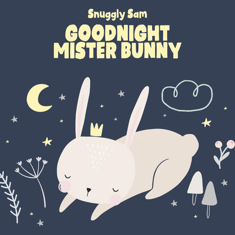 Goodnight Mister Bunny