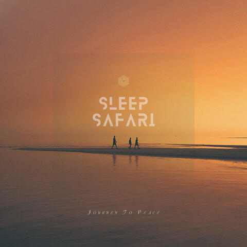 Sleep Safari