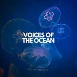 Ocean Of Meditation