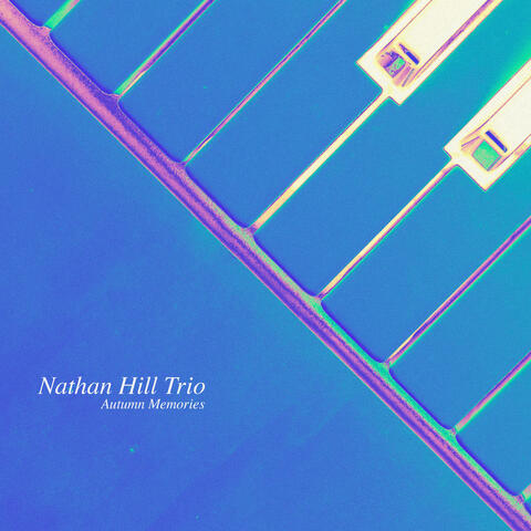 Nathan Hill Trio