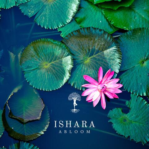 Ishara
