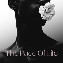 The Pace Of Life