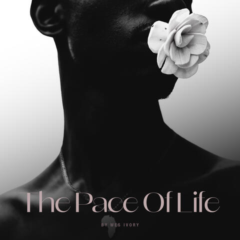 The Pace Of Life