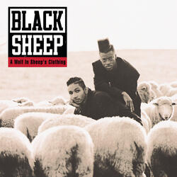 Intro: Black Sheep/A Wolf In Sheep's Clothing