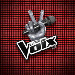 La voix que j'ai