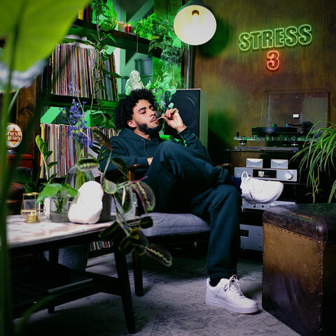 Stress 3