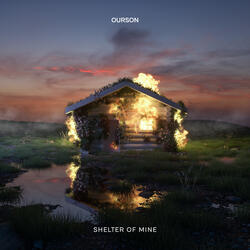 Shelter of Mine