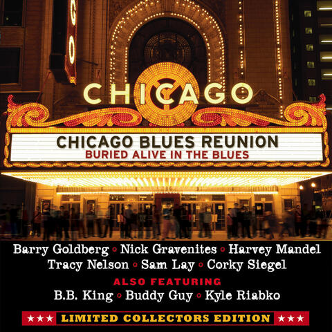 Chicago Blues Reunion