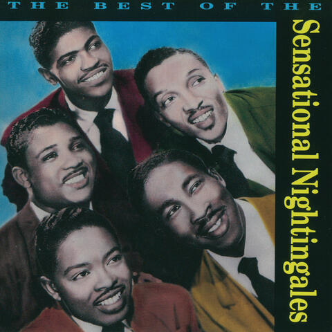 Sensational Nightingales
