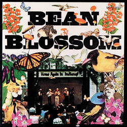 Orange Blossom Special