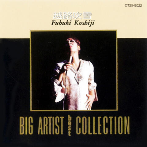 Big Artist Best Collection