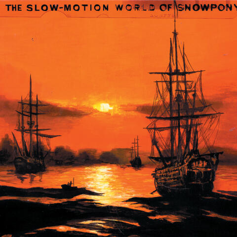 The Slow-Motion World Of Snowpony