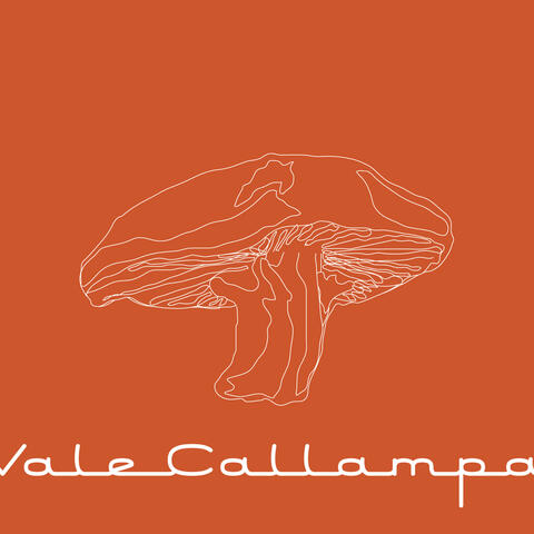 Vale Callampa