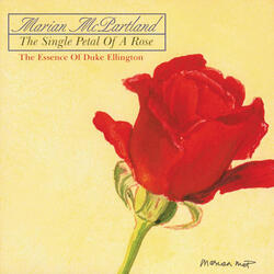 The Single Petal Of A Rose