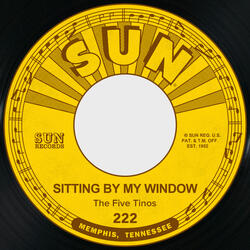 Sitting by My Window