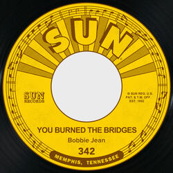 You Burned the Bridges