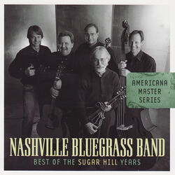 Travelin' Railroad Man Blues