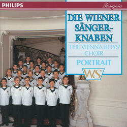 Mozart: Sub tuum praesidium, K.198