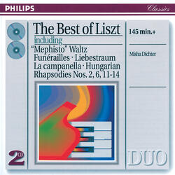 Liszt: Schwanengesang, S.560 - piano transcriptions after Schubert - No.1 Liebesbotschaft