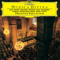 Bruckner: Os justi meditabitur sapientiam (Motet)