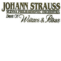 J. Strauss II: Geschichten aus dem Wienerwald, Op. 325