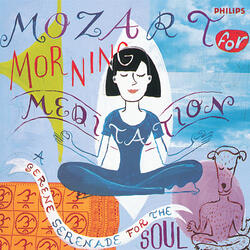 Mozart: Piano Sonata No. 8 in A minor, K.310 - 2. Andante cantabile con espressione